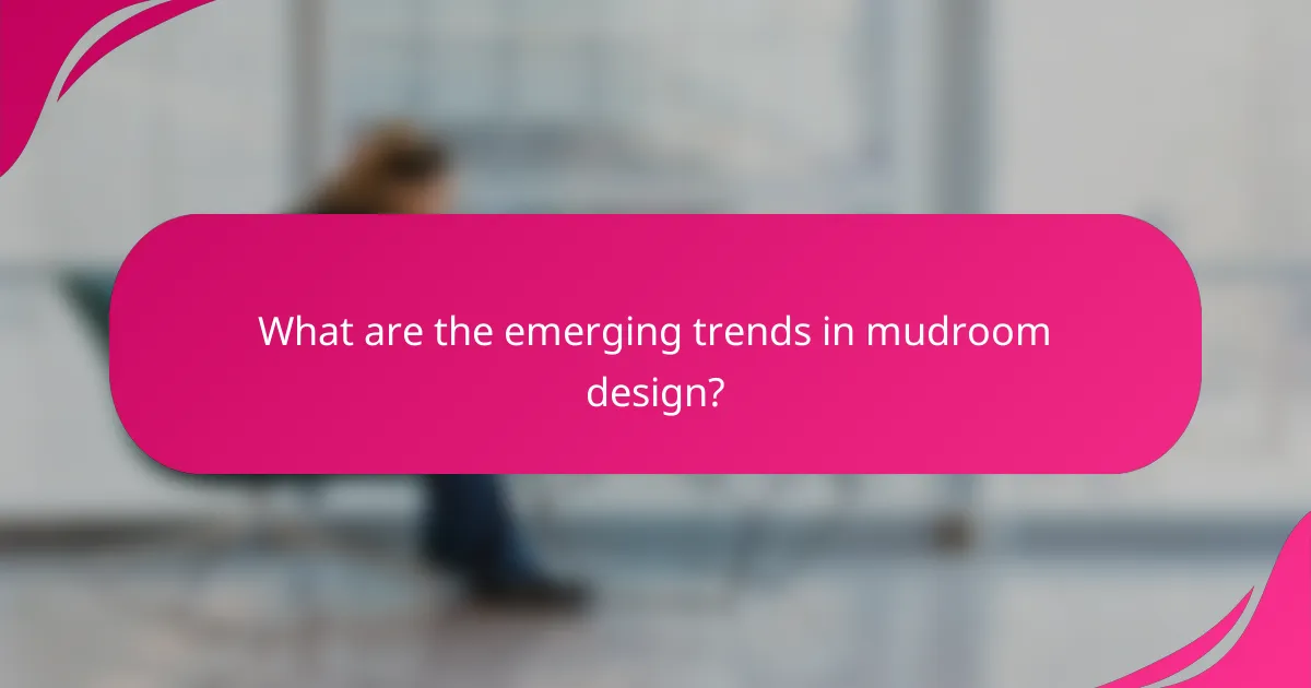 What are the emerging trends in mudroom design?